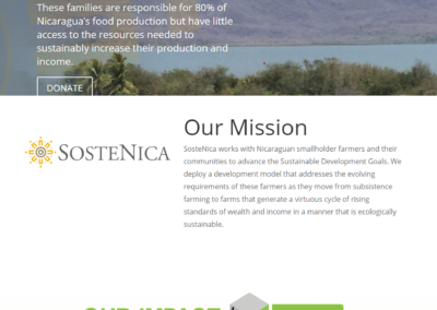Sostenica nonprofit web design