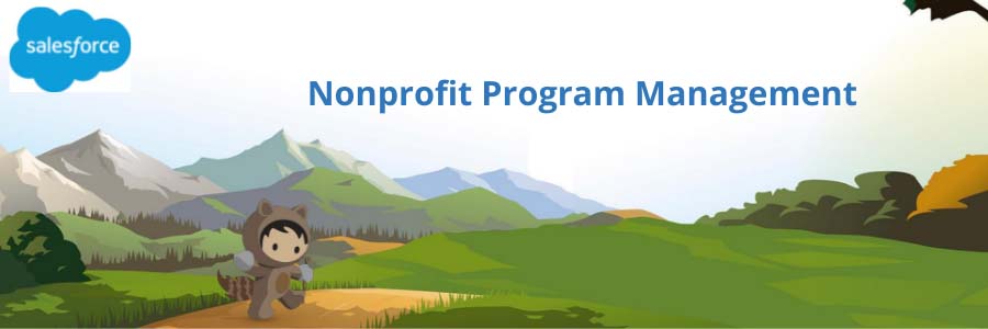 iM salesforce program management salesforce image