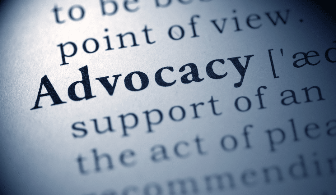 Nonprofit Advocacy in the Digital Age